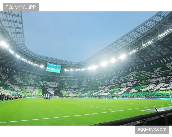 足球新星闪耀赛场，精彩表现引球迷热议，未来可期