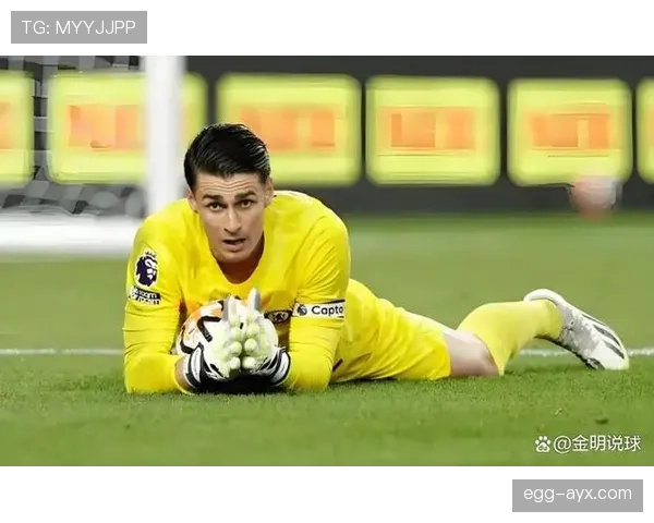 罗德里戈战术定位模糊：角色适配与体系兼容性分析