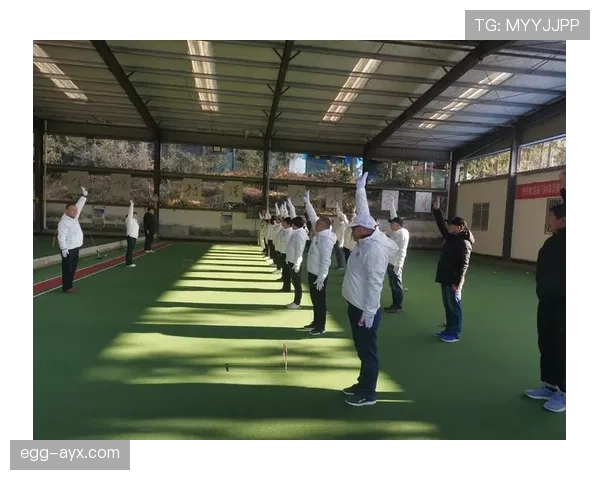 裁判判罚手势到底透露了哪些重要规则信息？